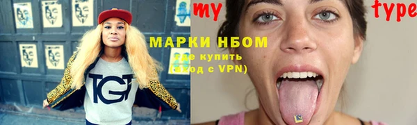 стаф Алексин
