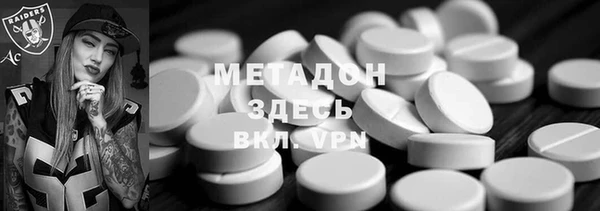 стаф Алексин