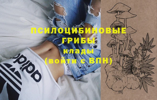 героин Алзамай