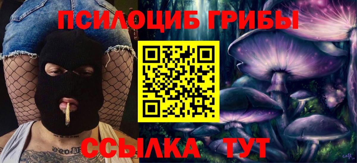 Саров  Псилоцибиновые грибы Cubensis  Вход с VPN 